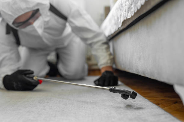 Professional Bed Bug Control technician working in Carrier Mills, IL