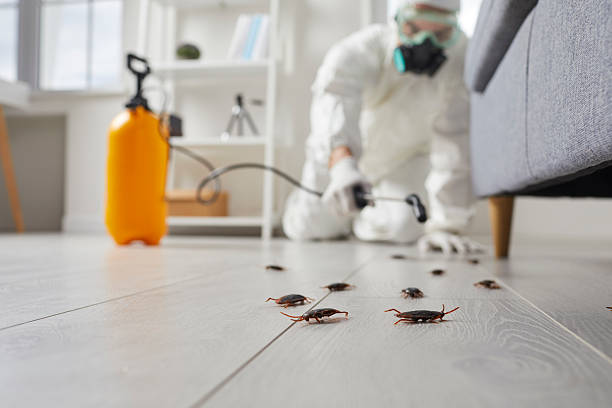 Trusted Cockroach Control service in Carrier Mills, IL - Nex Pest Control