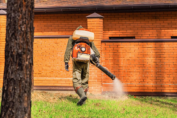 Trusted Termite Control service in Carrier Mills, IL - Nex Pest Control